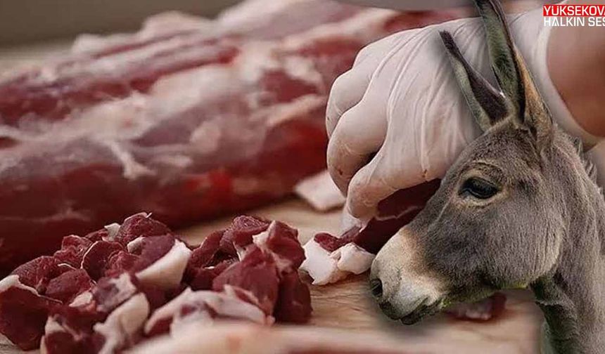 Bakanlık Türkiye'de Vatandaşlara En Fazla At ve Eşek Eti Yediren Şehirleri Açıkladı!
