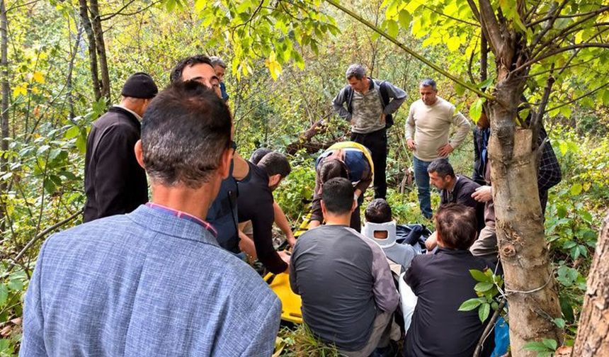 Şemdinli’de ceviz ağacından düşen vatandaş yaralandı