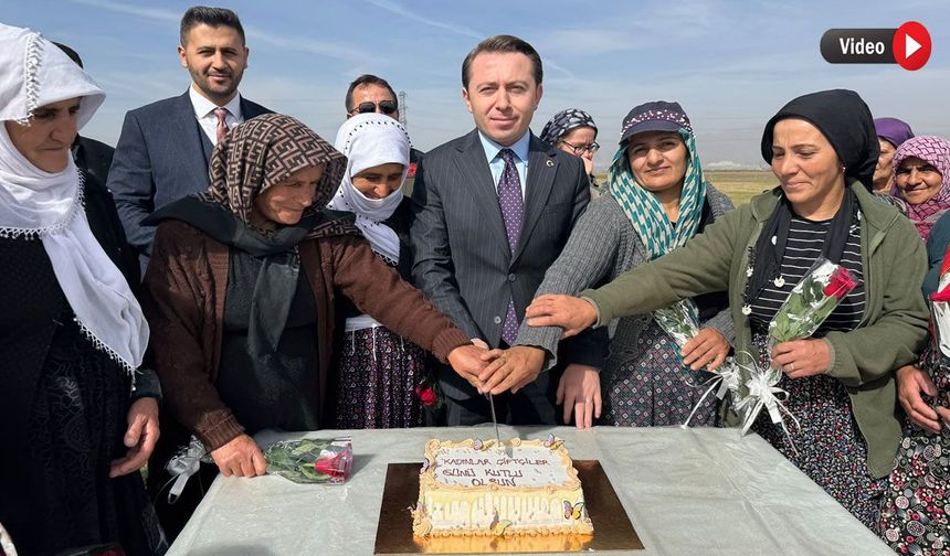 Yüksekova’da kadın çiftçilerin emeği sergilendi
