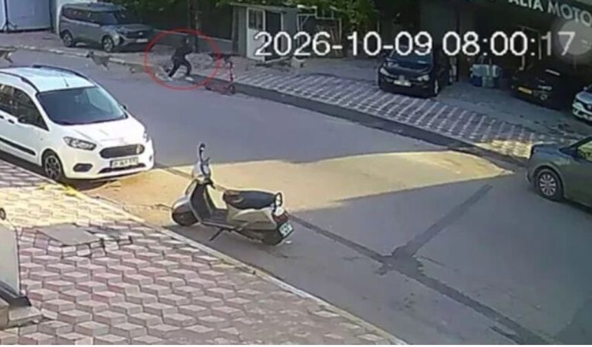 Okul yolunda köpek saldırısı: 15 yaşında kız öğrenci yaralandı