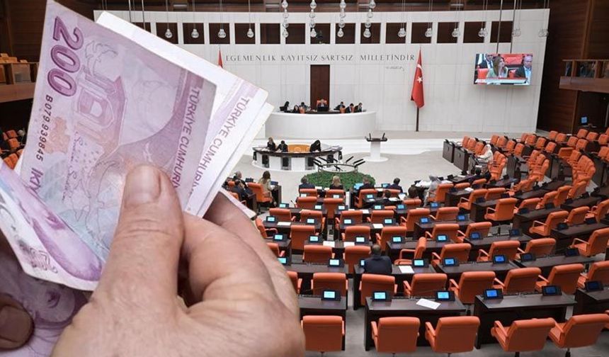 Fon tasfiyesine ilişkin kanun teklifi TBMM'de kabul edildi
