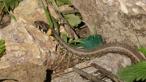 detail-photo-fancybox-1