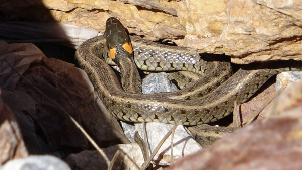 detail-photo-fancybox-2