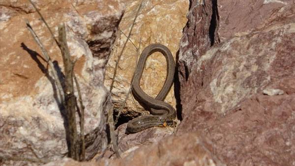 detail-photo-fancybox-3