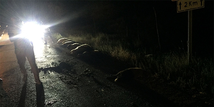 detail-photo-fancybox-1