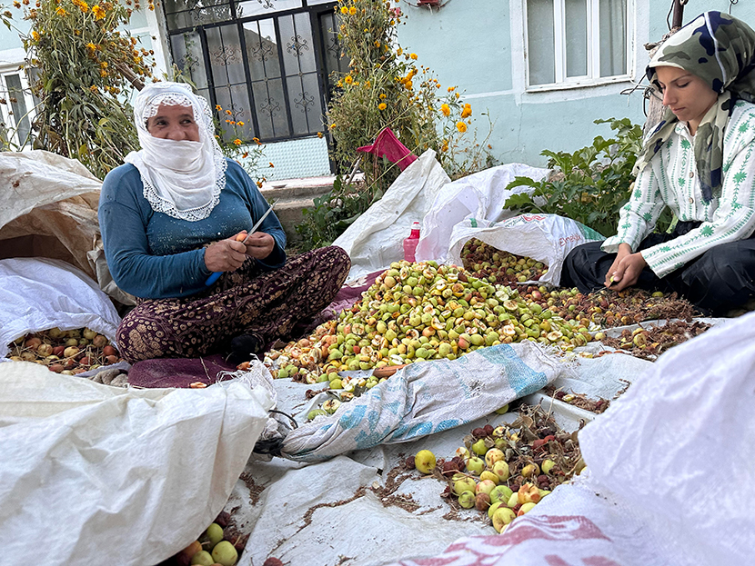 Kışa Hazırlık1