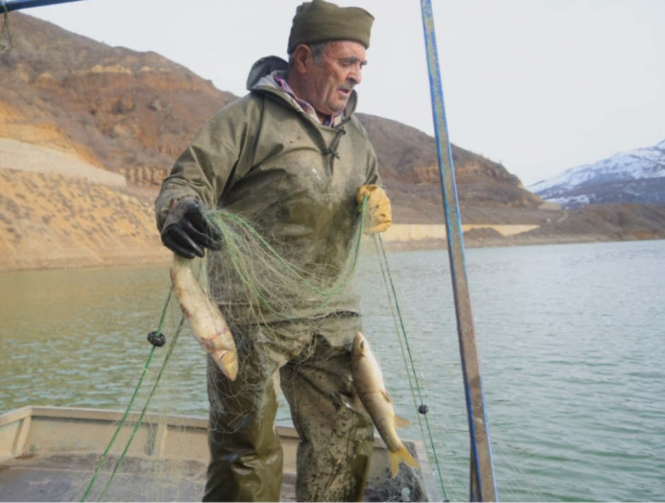 I M G 20250120 182059