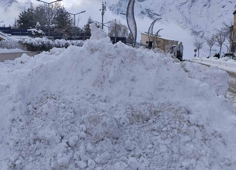 I M G 20250214 122334