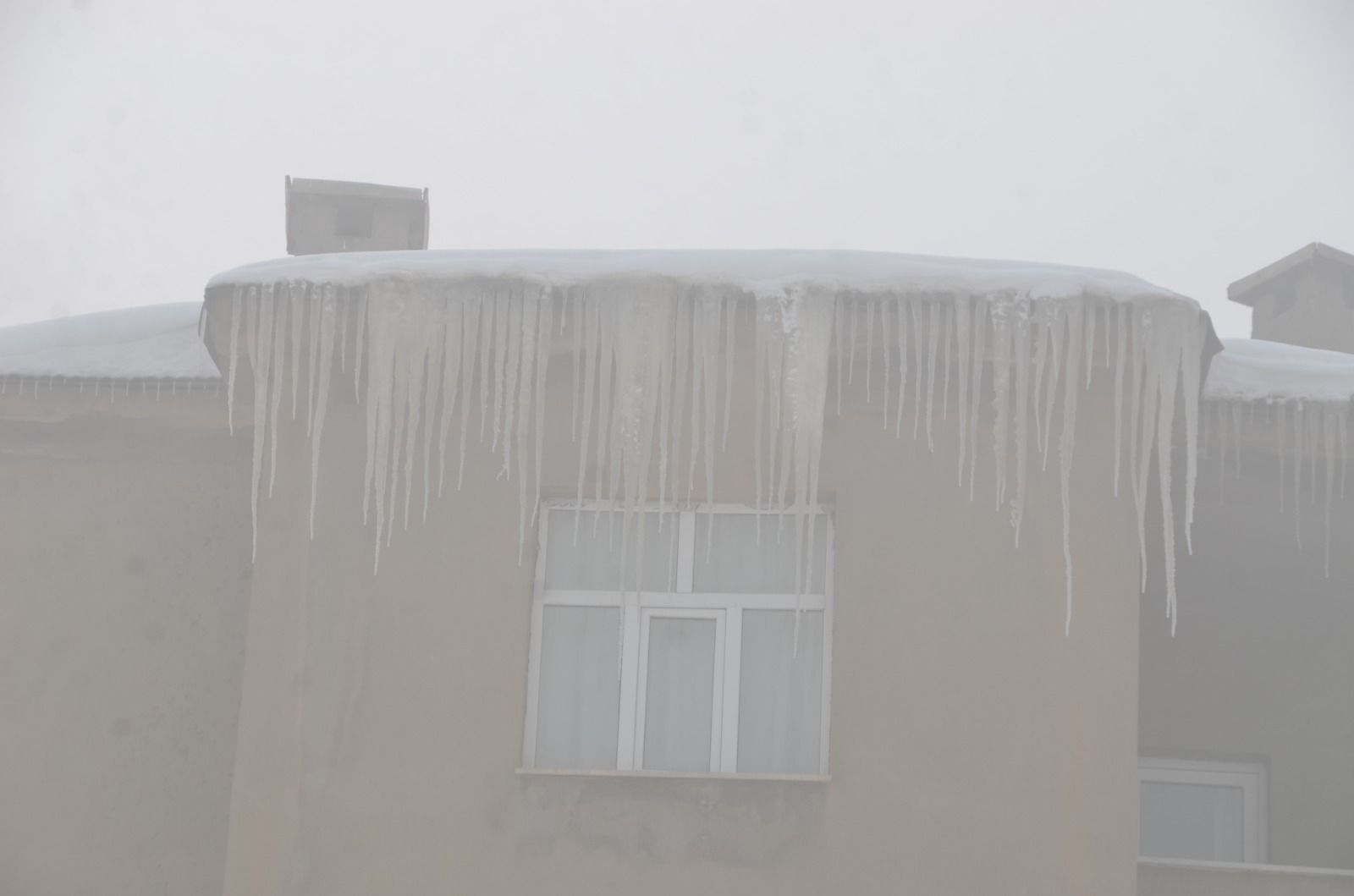 I M G 20250216 W A0000