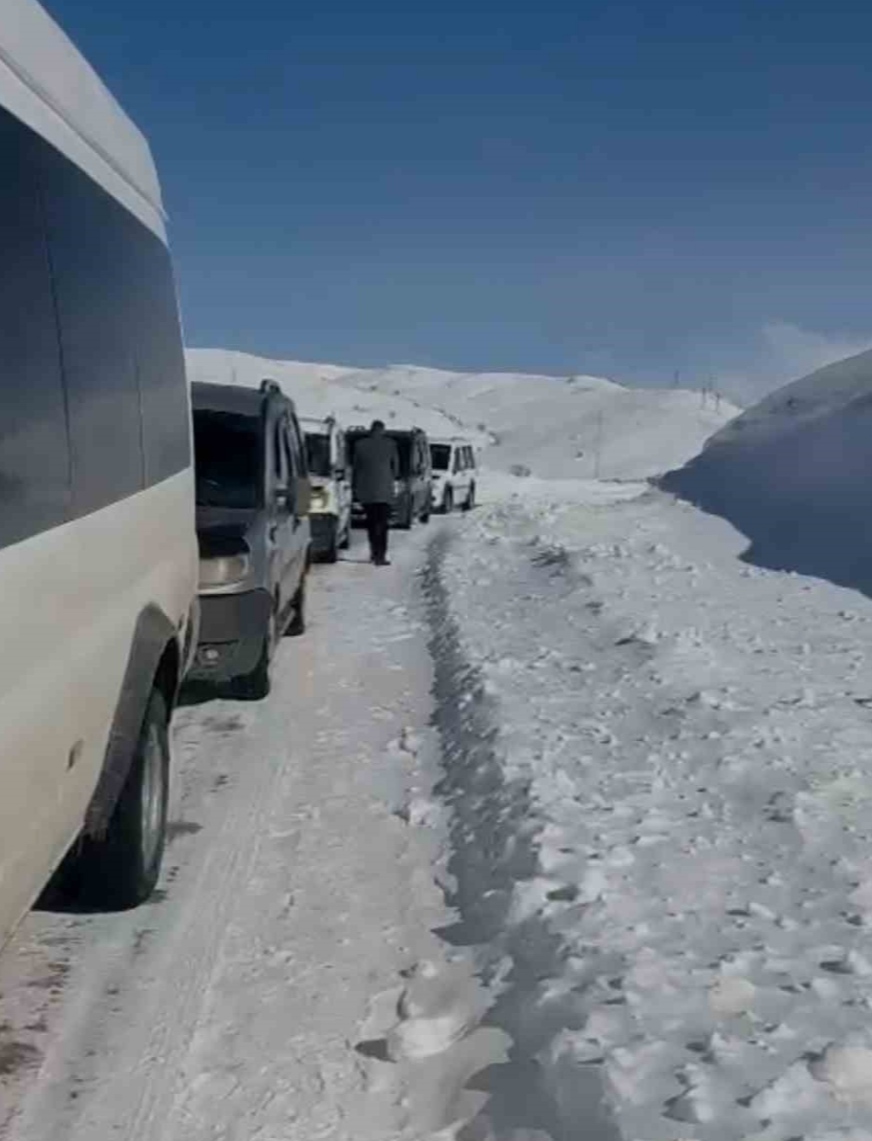 I M G 20250222 224247-1