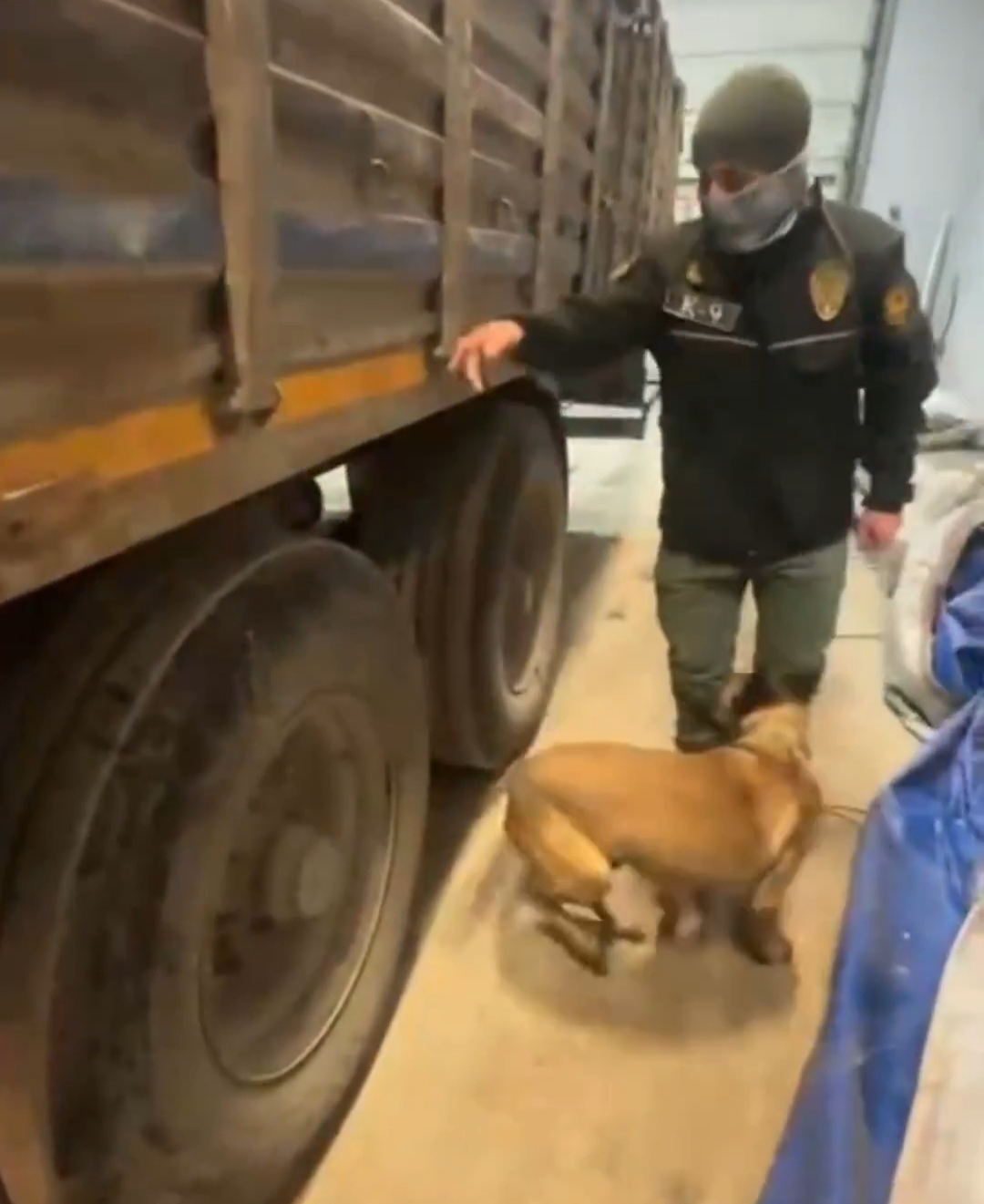 I M G 20250302 150922