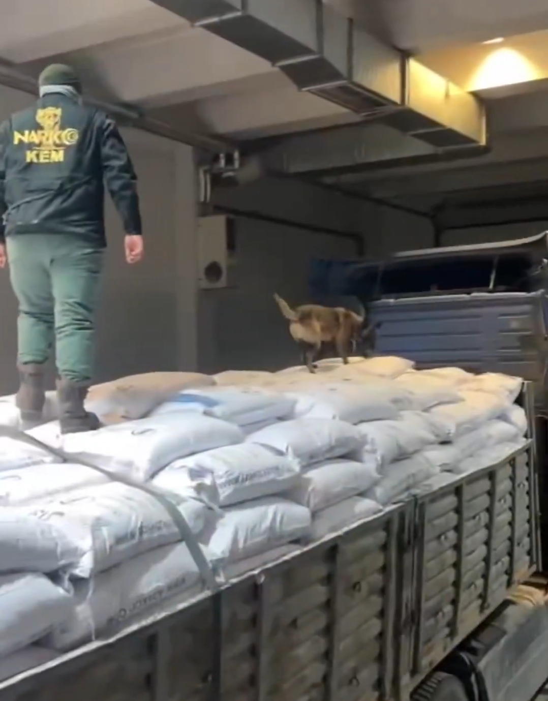 I M G 20250302 150933