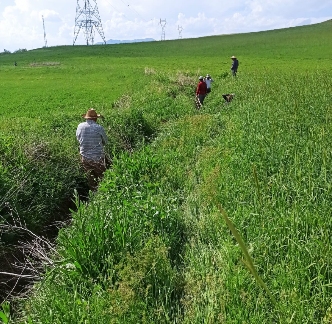 I M G 20250525 185137