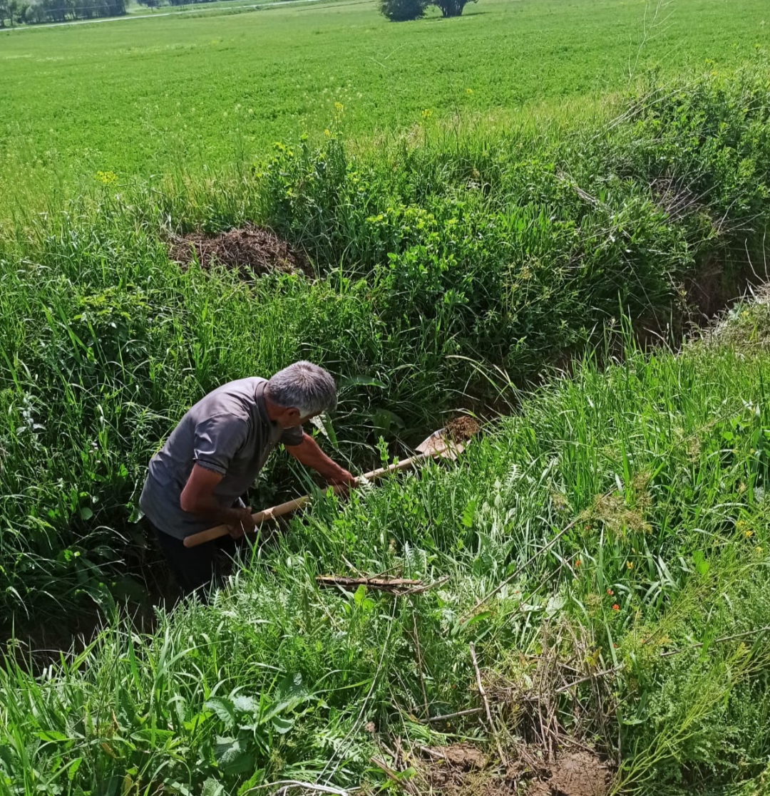 I M G 20250525 185433