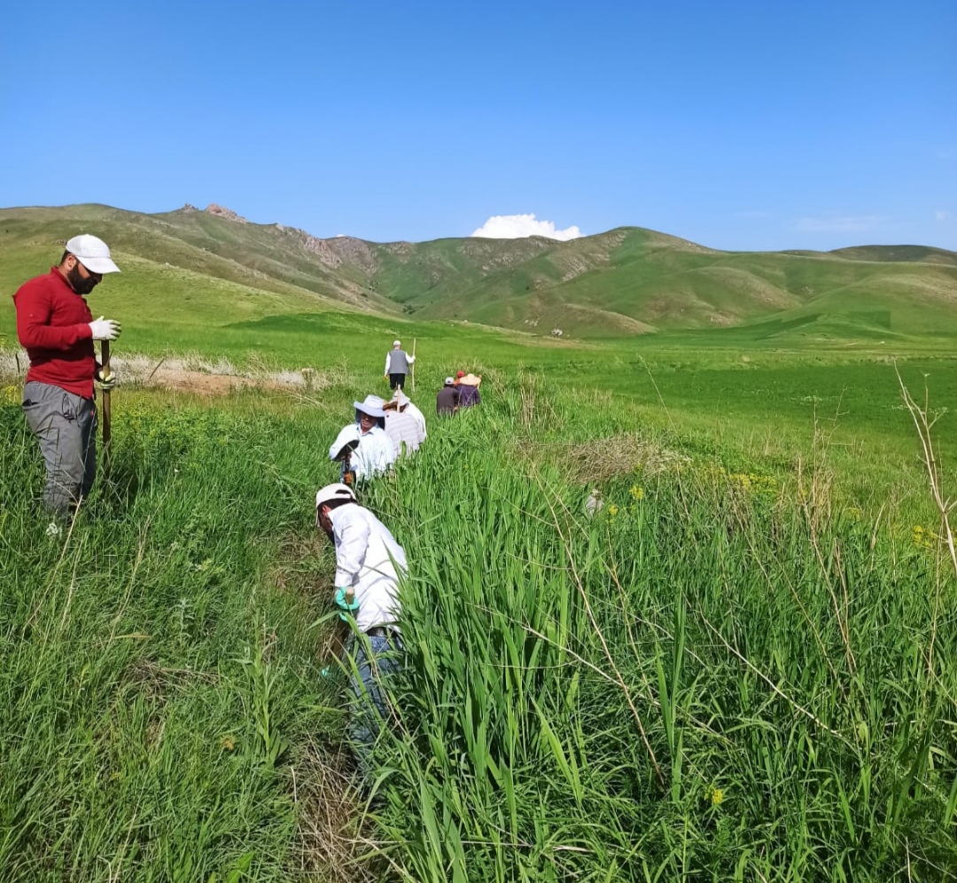 I M G 20250525 185442