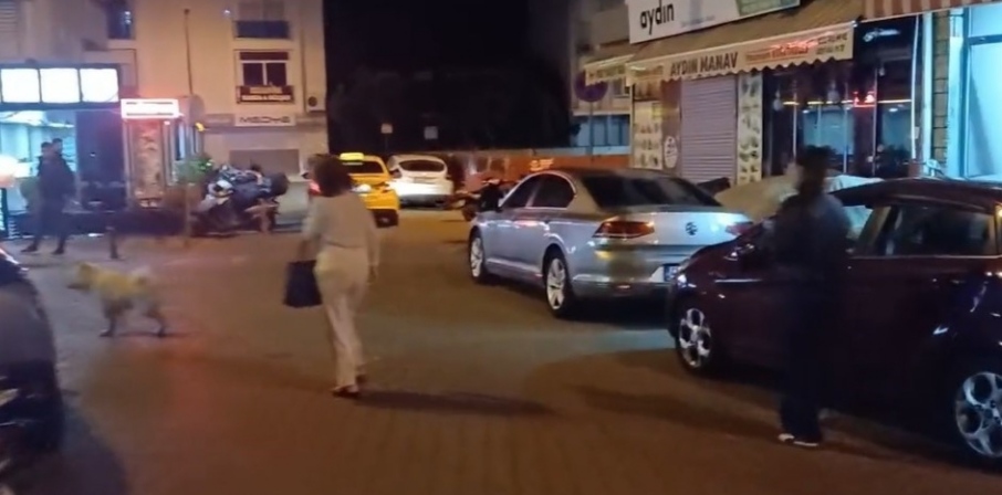 I M G 20250603 093309