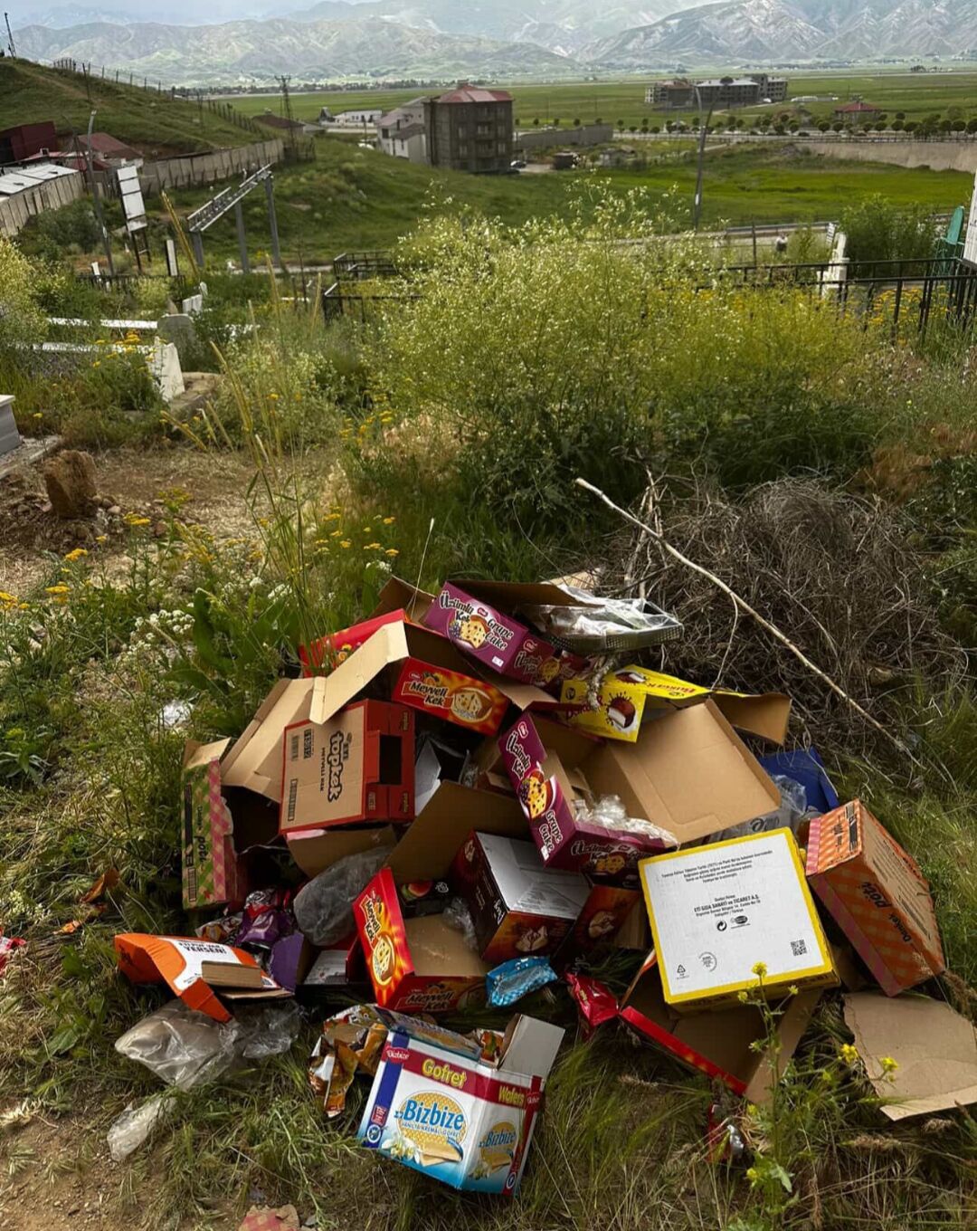 I M G 20250606 143930