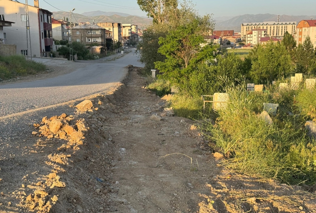 I M G 20250614 201955