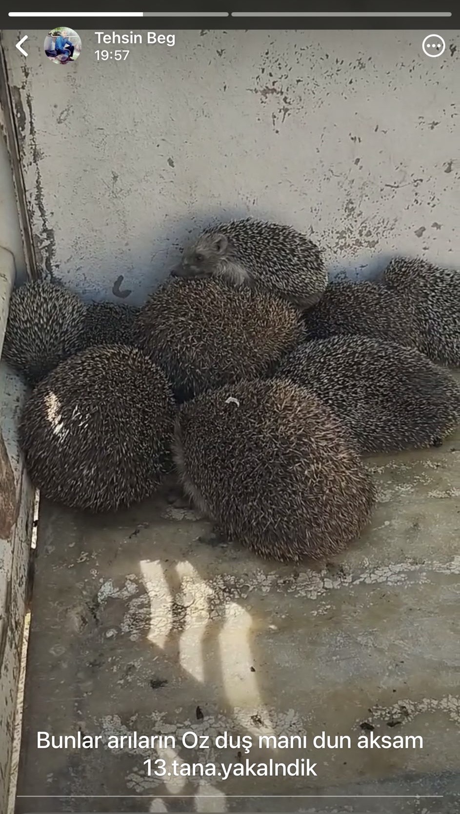 31Bba8E0 362C 4035 972E C70B7F4A8350