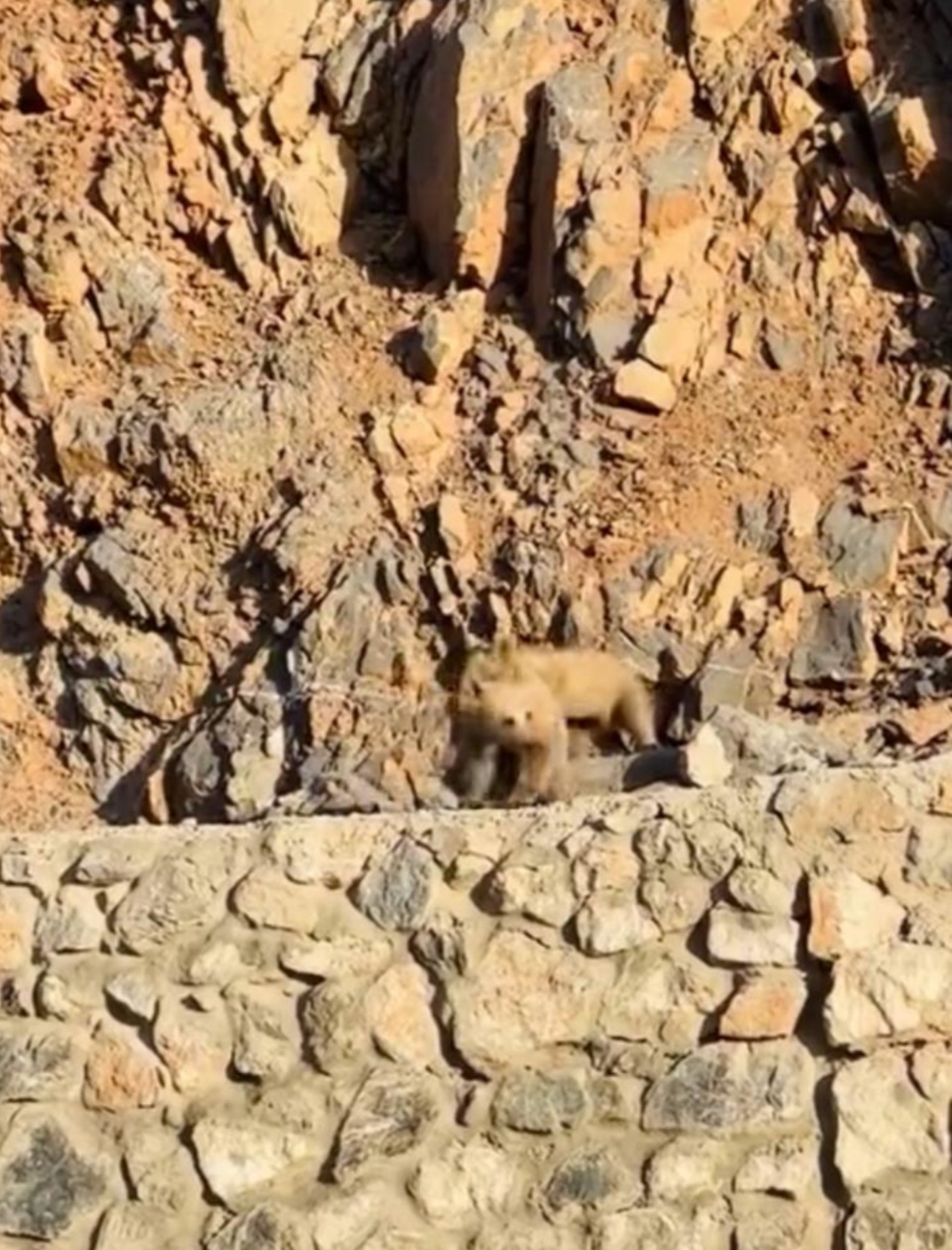 I M G 20250703 132441