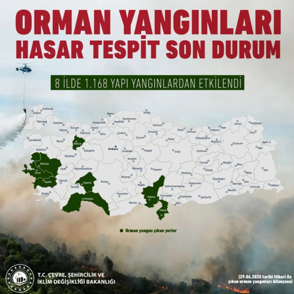 I M G 20250706 095439