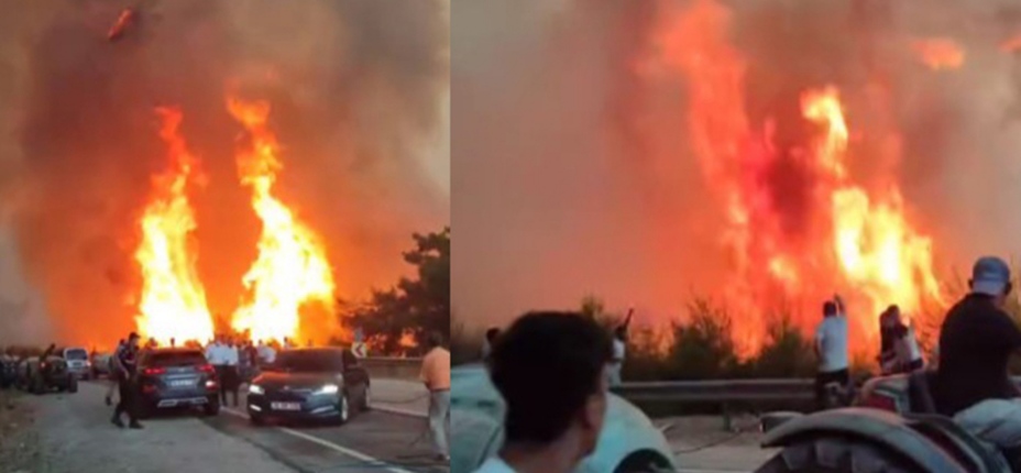 I M G 20250727 100610