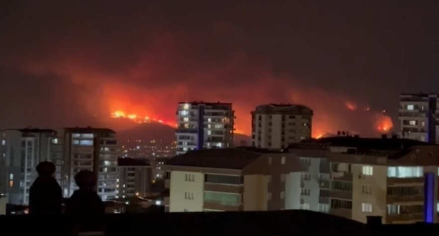 I M G 20250727 100621