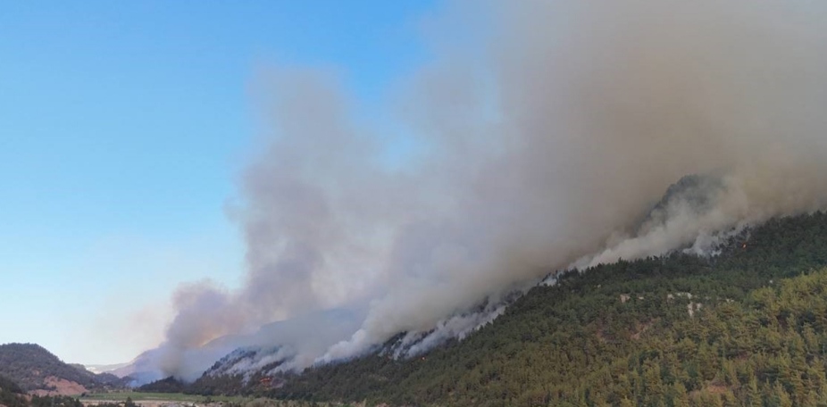 I M G 20250727 102259