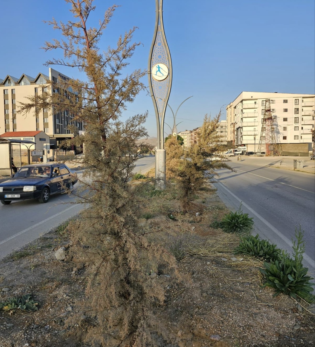 I M G 20250729 092854