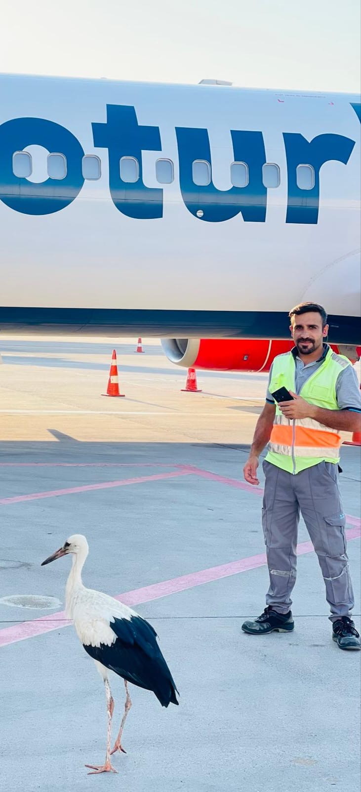 15288411 550D 4006 8346 C7Fcc5201316