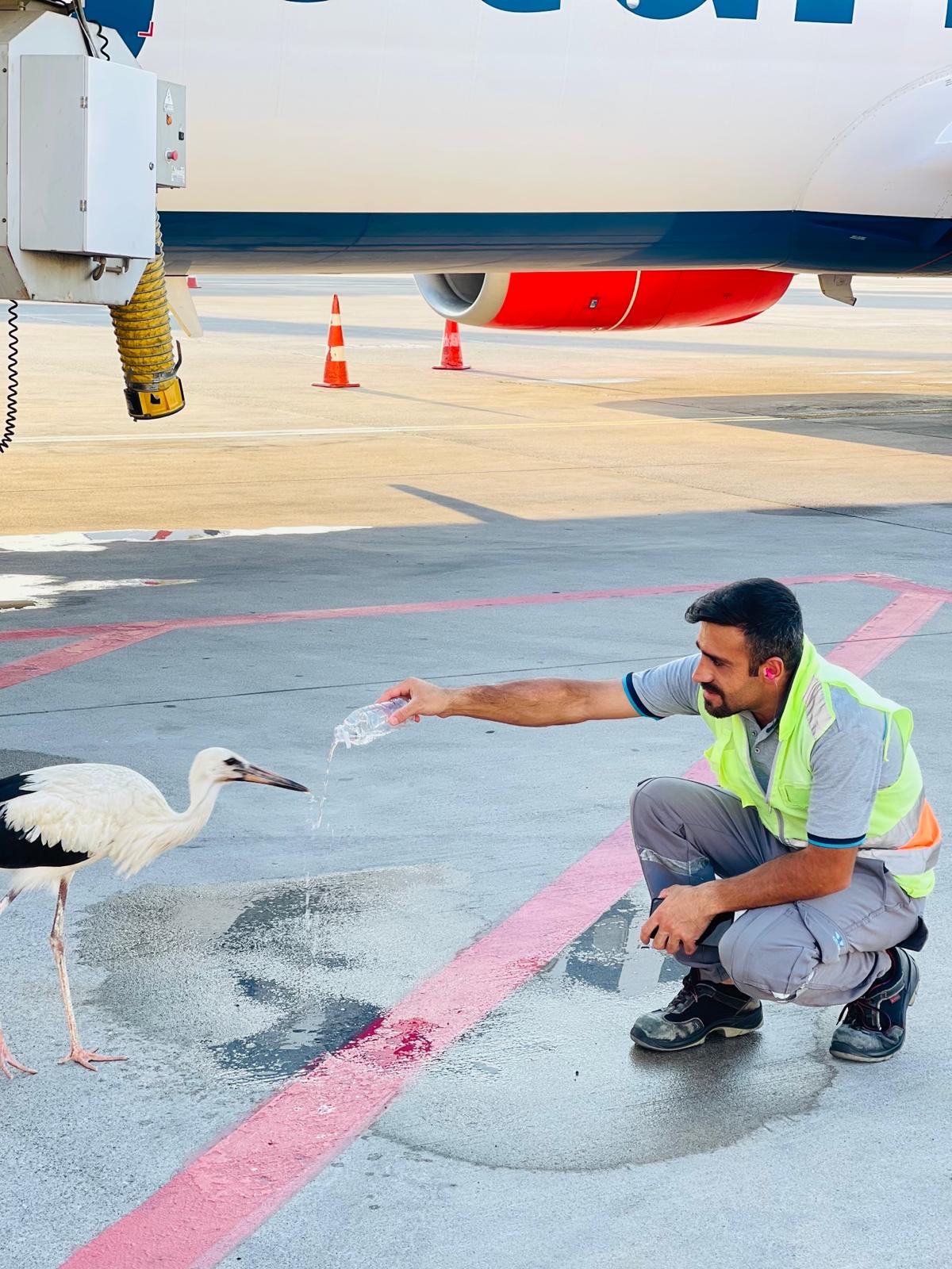 7773C3B7 8B9B 40F4 Ad6A E475D45651Df