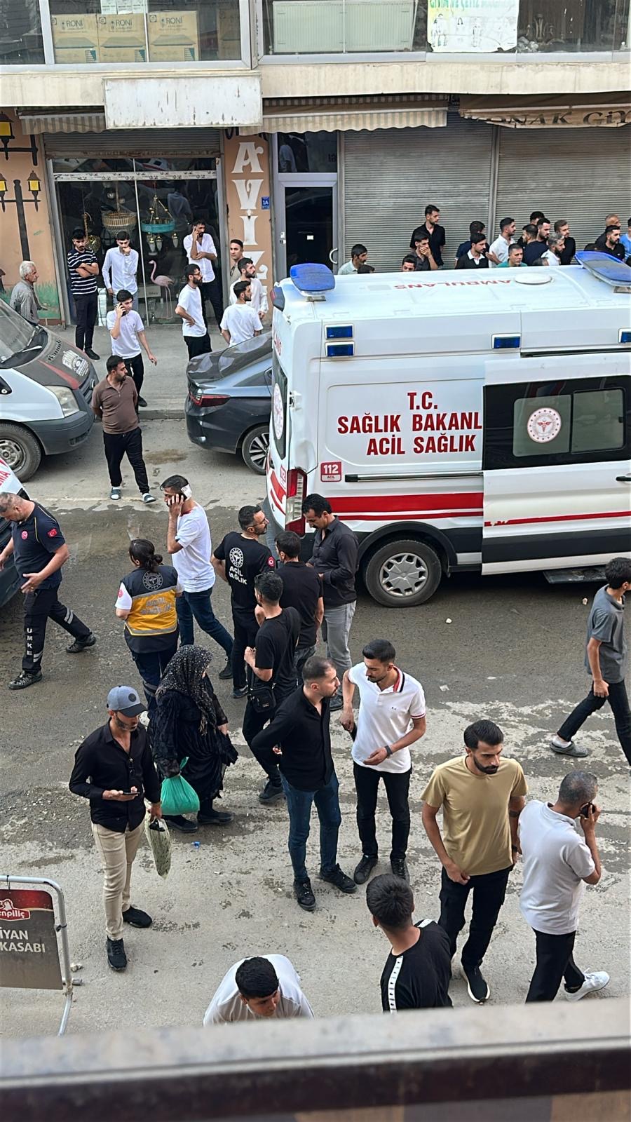 77Bed1Ca 918D 4D33 Aaa8 51Fef0357834