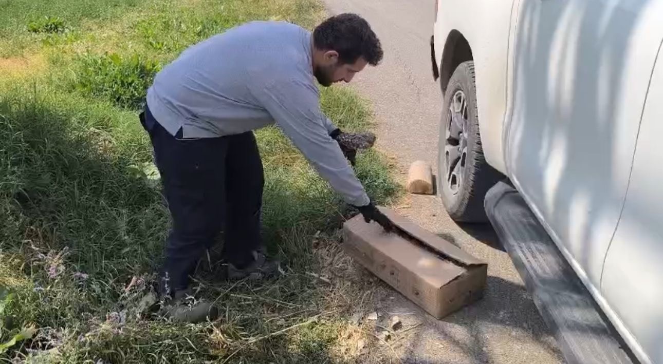 Cf70Ac62 6Ee4 4Ee6 941E 5F68D4E4703B