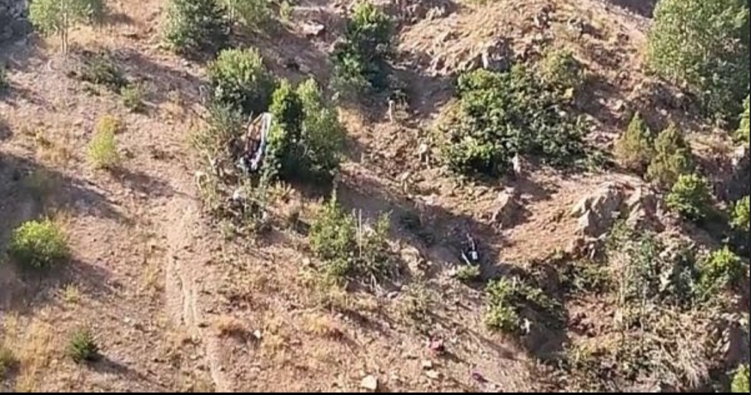 I M G 20250805 091820