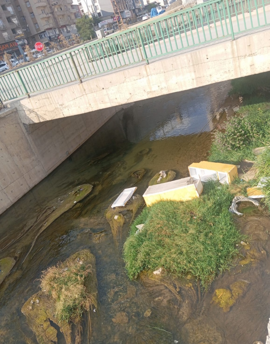 I M G 20250805 144255