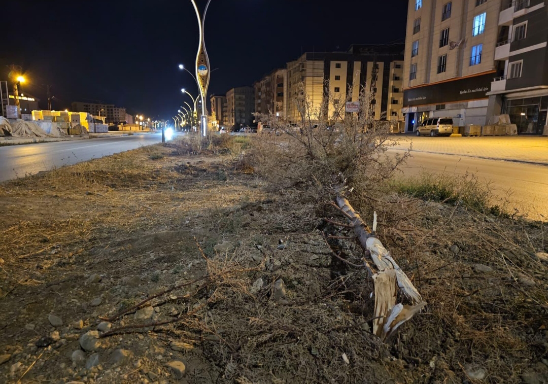 I M G 20250809 022308