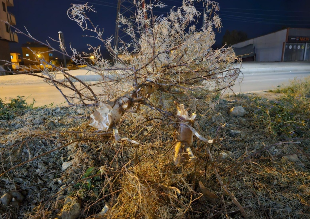 I M G 20250809 022353