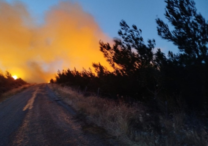 I M G 20250809 093943