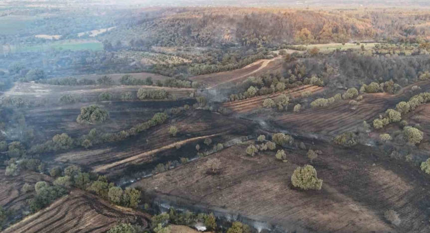 I M G 20250809 093958