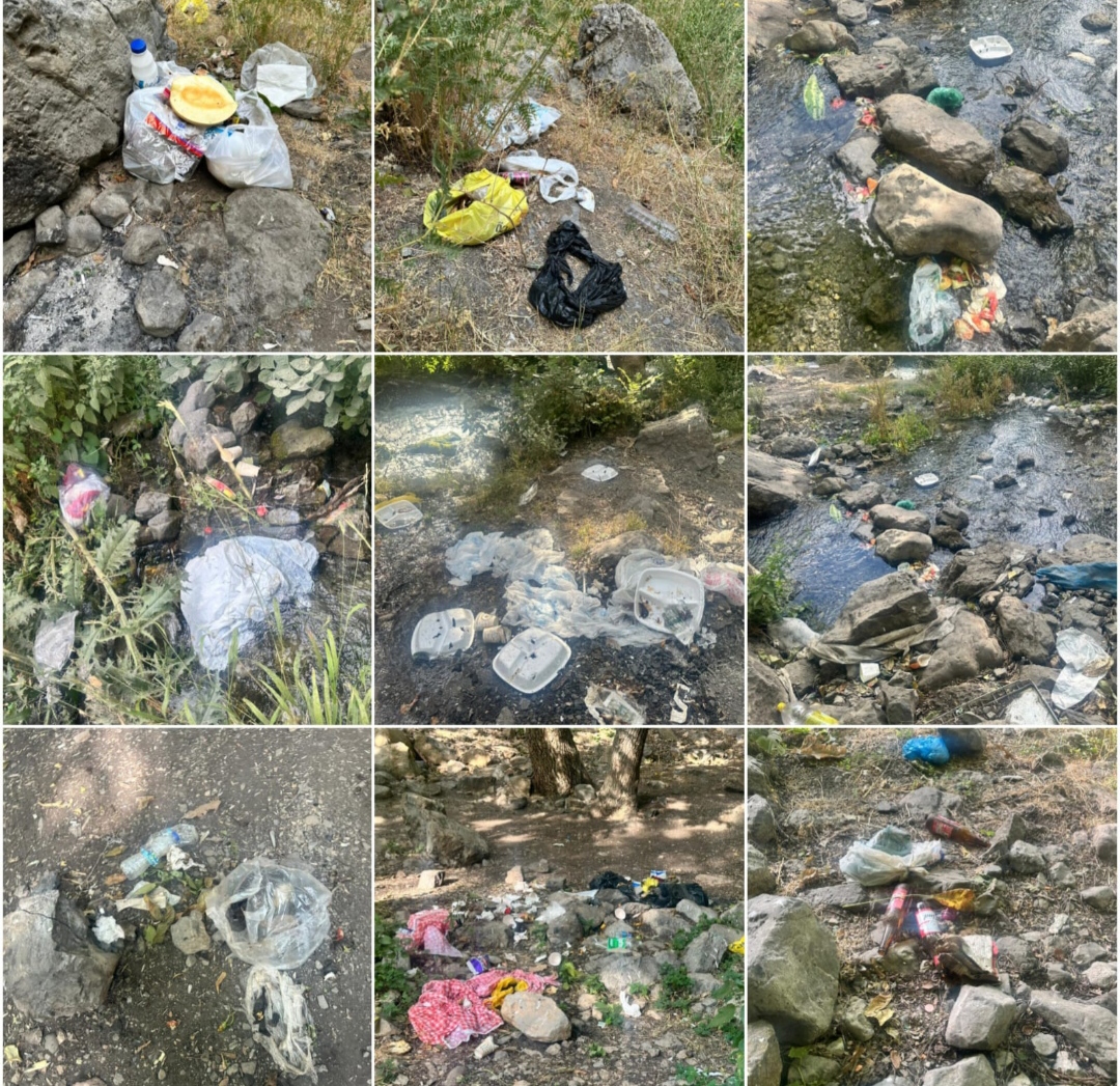 I M G 20250810 110703