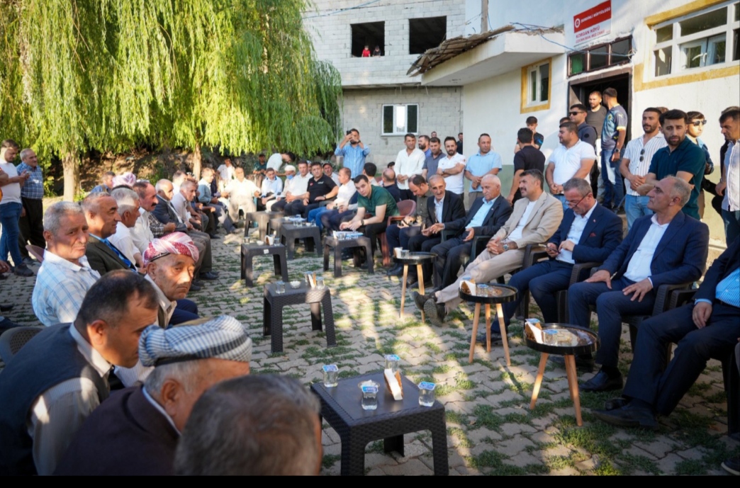 I M G 20250810 111655