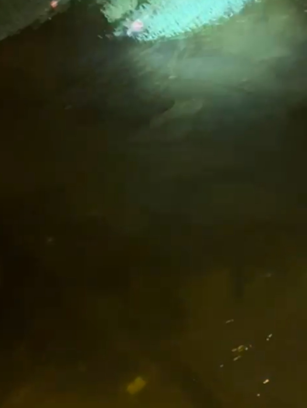 I M G 20250810 194654