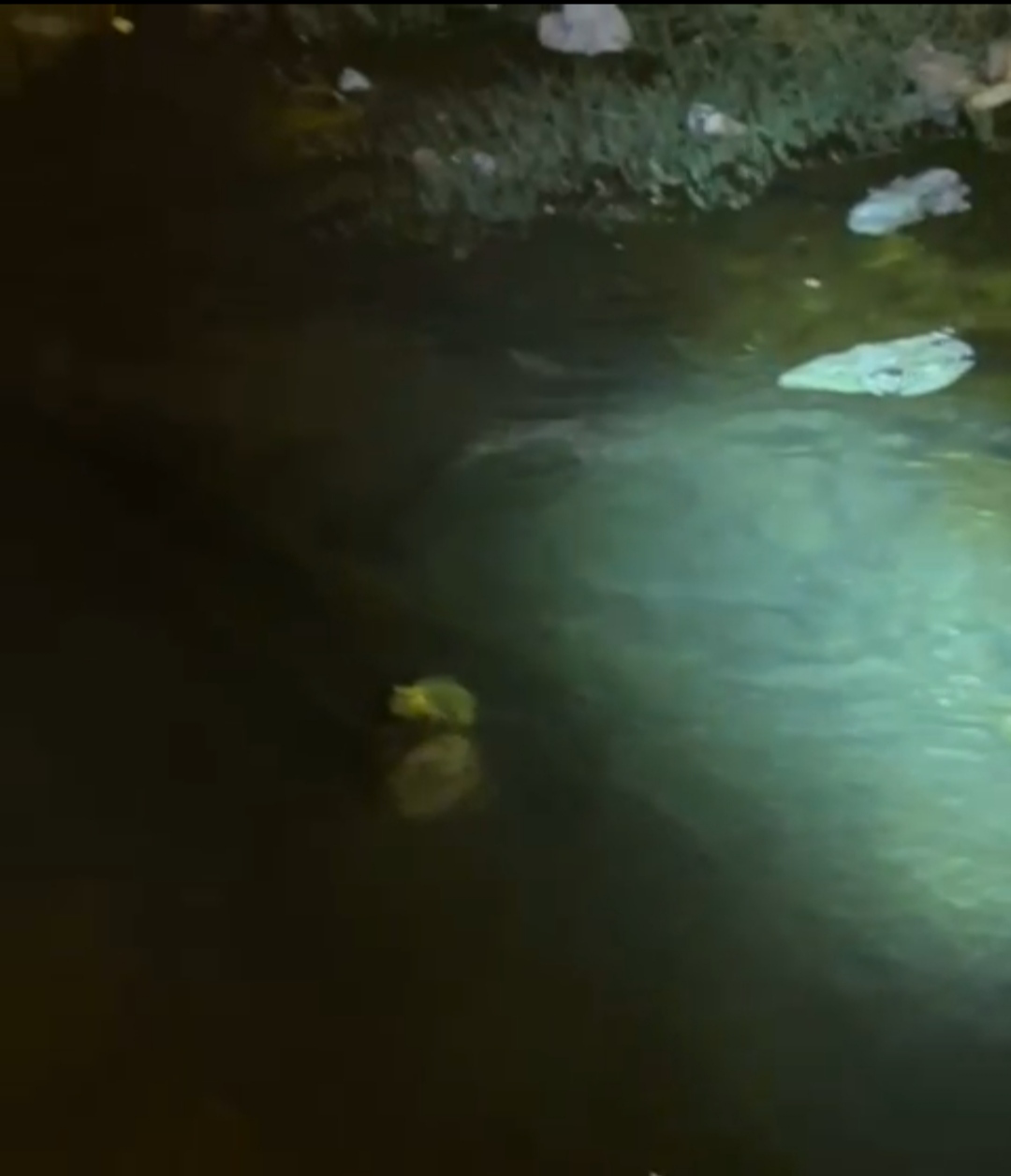 I M G 20250810 194707