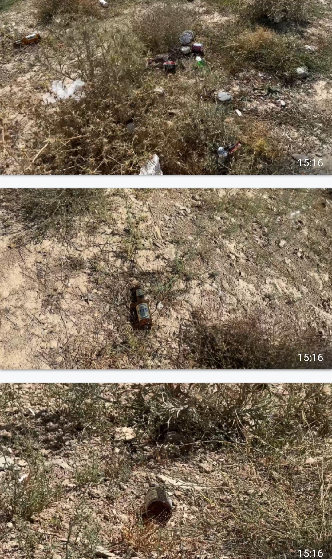 I M G 20250815 152621