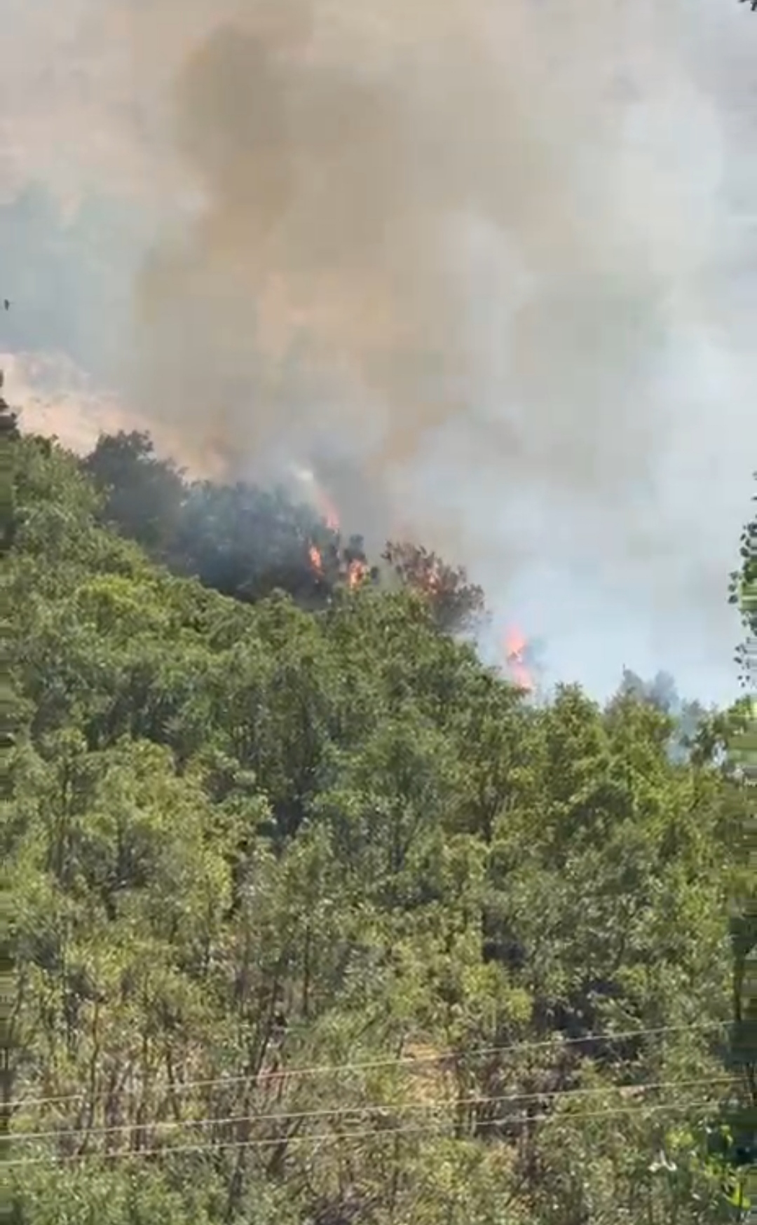 I M G 20250817 140831