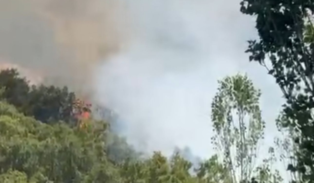 I M G 20250818 213744