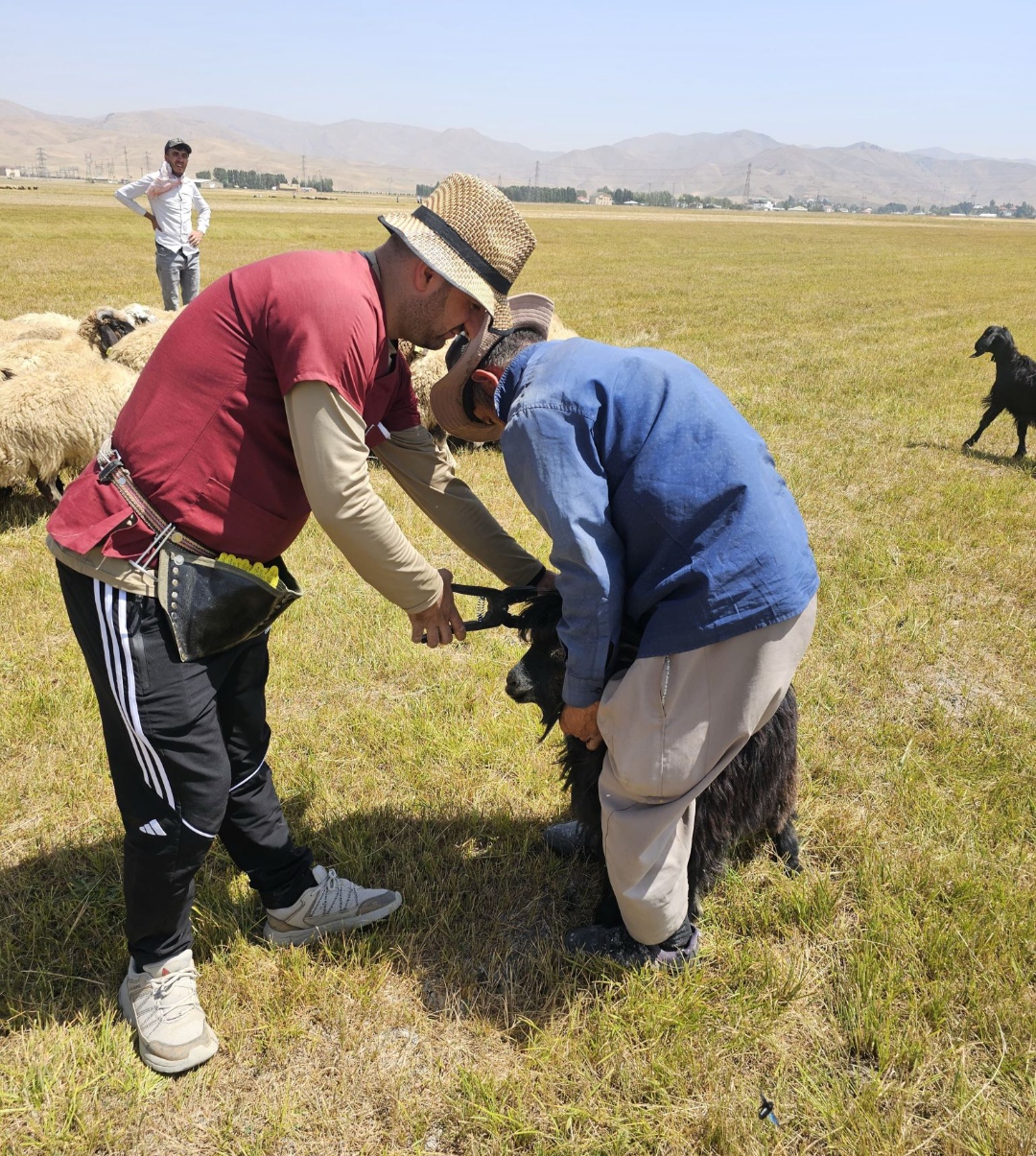 I M G 20250821 201918