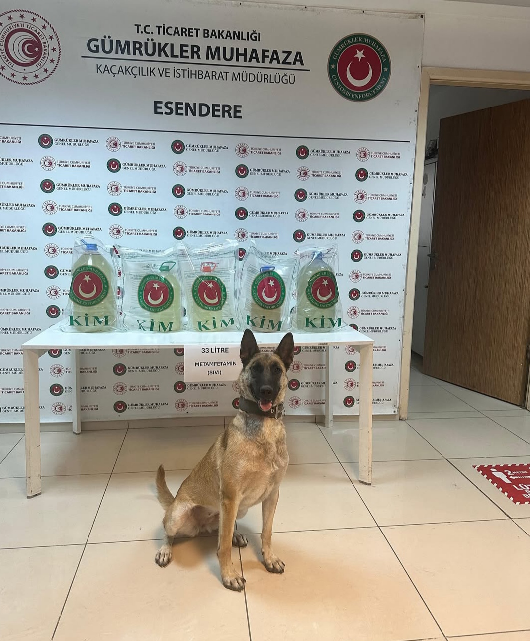 I M G 20250824 111704