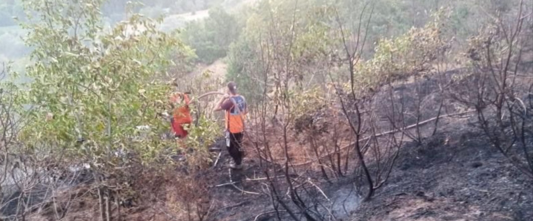 I M G 20250824 230240