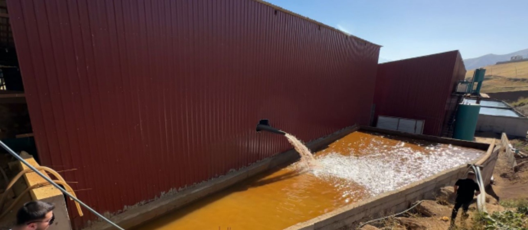 I M G 20250825 102749